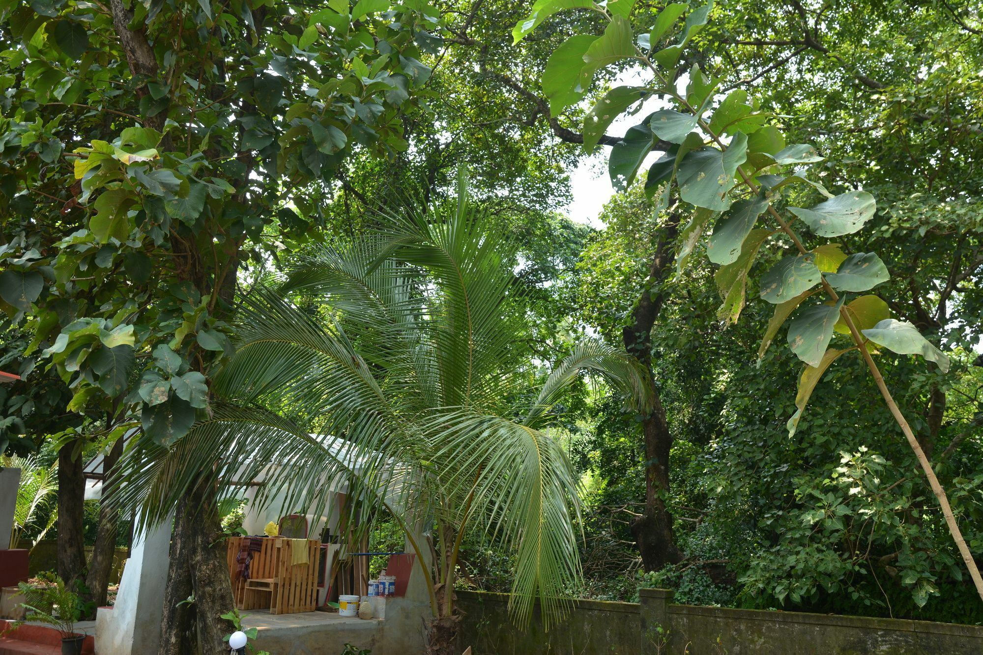 Folklore Hostel Goa Вагатор Экстерьер фото